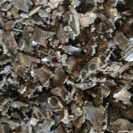 Жмых подсолнечный