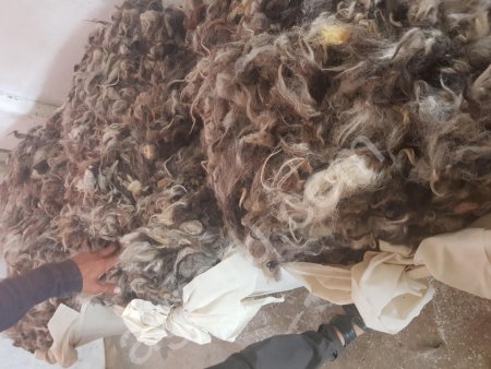 Шерсть овечья мытая