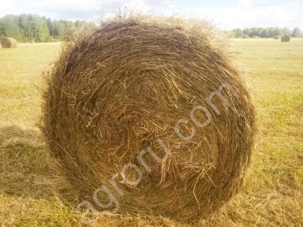 Сено луговое разнотравное в рулоне