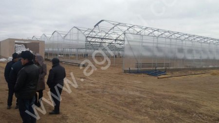Современные промышленные теплицы.(ТК).