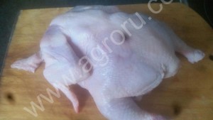 Индейка и курица.Оптом и мелким оптом