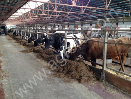 животноводческой фермы