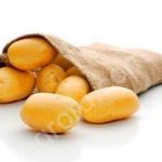 Картофель семенной