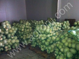 Капуста Анкома