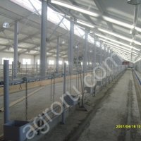 Стойловое оборудование для привязного содержания КРС