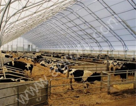 Строительство коровников и свинокомплексов под ключ