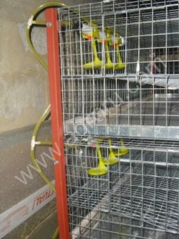 Ниппельные поилки для птиц