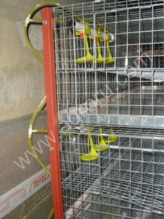 Ниппельные поилки для птиц