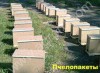 пчелопакеты; пчелосемьи