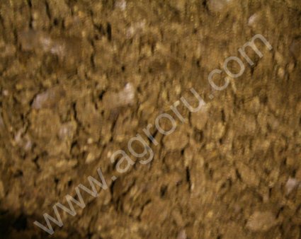 Жмых подсолнечный горячего отжима. Производитель