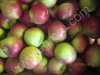 Яблоки