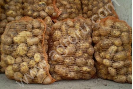 Картофель оптом