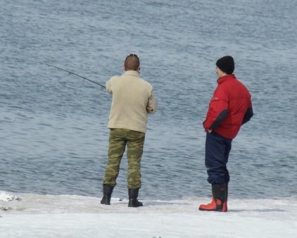 Лов рыбы путём багрения