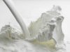 Из Ирана экспортирована первая партия сырого молока