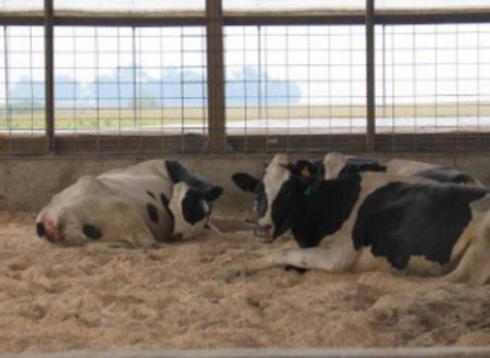 Эффективная работа