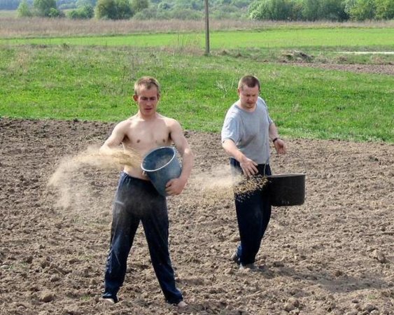 К 29 апреля в России сев яровых культур проведен на 9,5% от плана