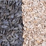 Дробилки,дробильное оборудование,крупорушка,крупоцех,зерноочистители,шелушения зерновых