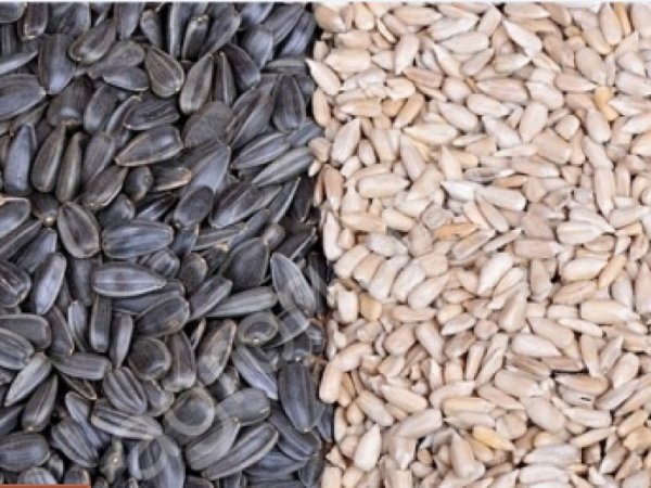 Дробилки,дробильное оборудование,крупорушка,крупоцех,зерноочистители,шелушения зерновых