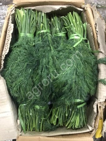 Петрушка Укроп