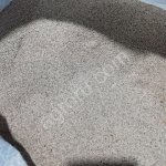 Тимофеевка луговая гост