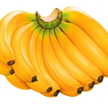 Несколько слов о технологии газации бананов