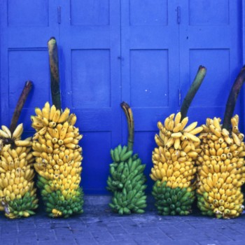 Производители бананов Эквадора грозят забастовкой
