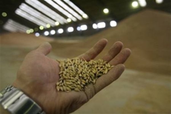 Кабмин разрешил поделиться