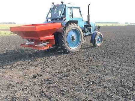 Евросоюз: потери озимой пшеницы от морозов могут составить 6 млн. тонн