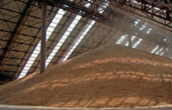 Запасы пшеницы в Австралии на 16% больше прошлогодних