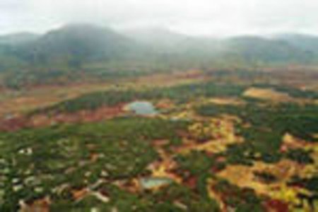 Великобритания. Заморозки не нанесли серьёзного вреда посевам