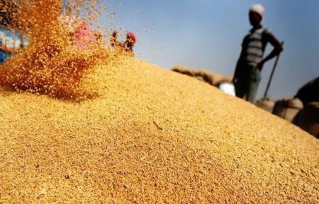 Россия выходит на лидирующее место по поставкам зерна на Ближнем Востоке