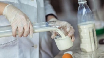 Молочные продукты проверят на наличие пальмового масла
