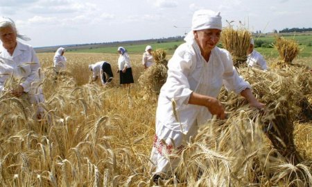 За год льготники-аграрии не заплатили в госбюджет 28 млрд грн НДС