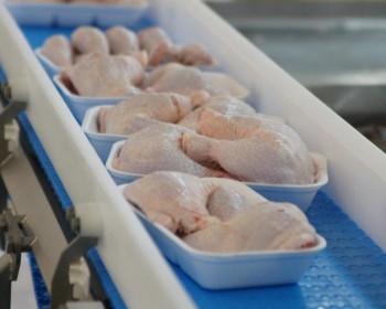 Битва за курицу-эконом, - Краткий обзор рынка мяса