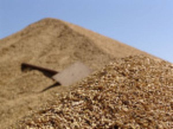 Первый миллион тонн зерна намолочен к сегодняшнему утру на полях Липецкой области