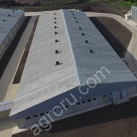 Строительство свинокомплексов под ключ