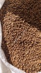 Зерно кориандра (не очищенный) в мешках по 22 кг