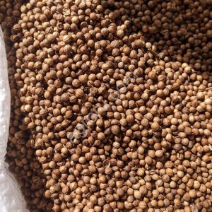 Зерно кориандра не очищенный в мешках по кг