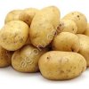 семенной картофель
