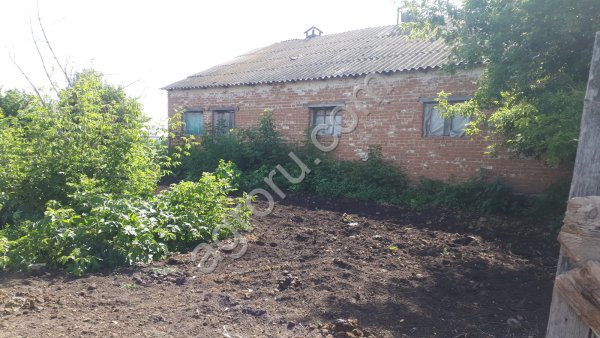 Ферма под животноводство (готовый бизнес под ключ)