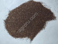 Зверобой семена