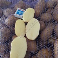 Картофель Коломба