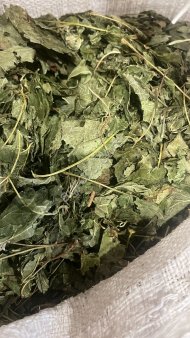 Смородина лист