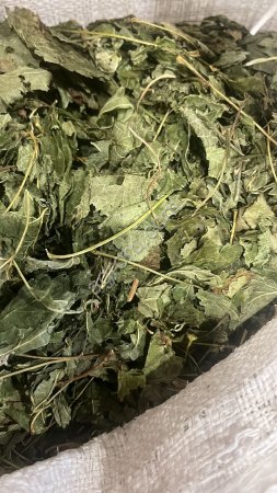 Смородина лист