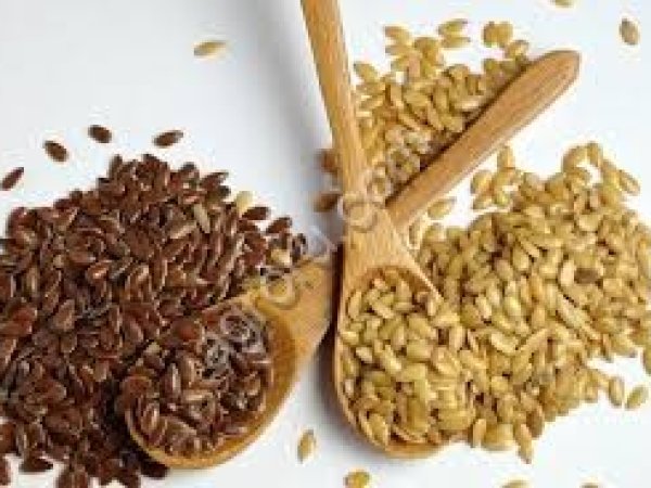 Лён масличный!