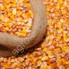 Зерно кукурузы