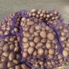 Картофель продовольственный