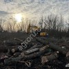 Гусеничный мульчер, расчистка от деревьев