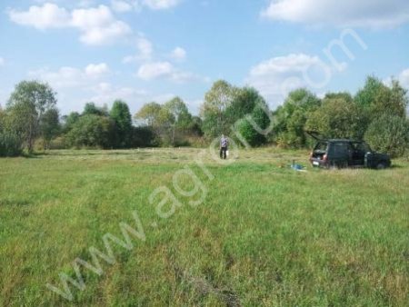 землю сельхозназначения 30 Га/