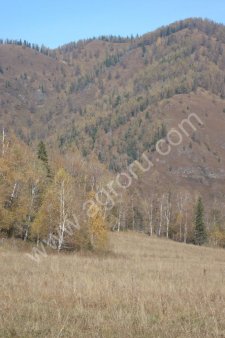 землю сельскохозяйственного назначения